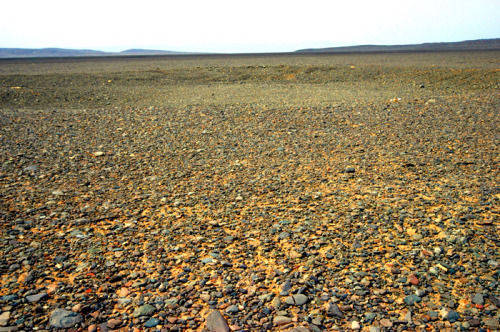 马九虎|15年前,陕西煤老板,花5个亿买7500亩戈壁种葡萄,现状如何?