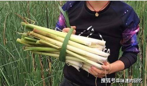 原创它全身是宝端午还被挂大门上根块25元1斤俗称抗金菜