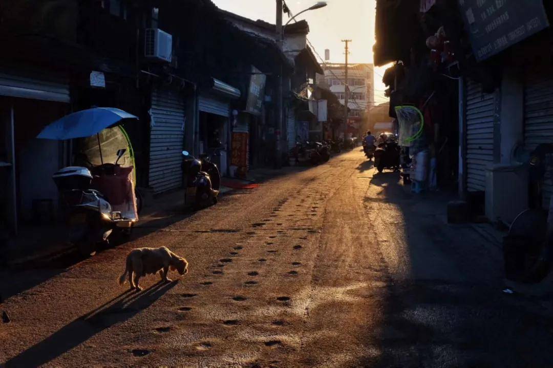 夏日长|大暑 | 长夏终有时，但惜夏日长