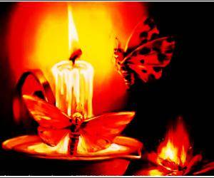 飞蛾扑火的爱情在线阅读 93650efa5aba4319baf6f887e3a1a88e.jpeg