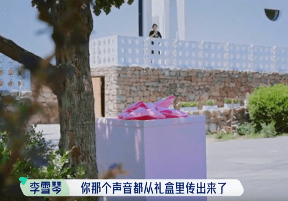 头功|可爱的辣目洋子