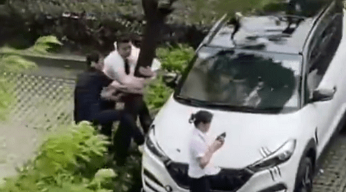 树欲倒 两个大汉抱紧树 车 你快回来 我一人承受不了 车主 树欲倒 两个大汉抱紧树 车 你快回来 我一人承受不了 车主