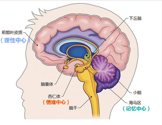 还真是 我们用培养抑郁症的方法