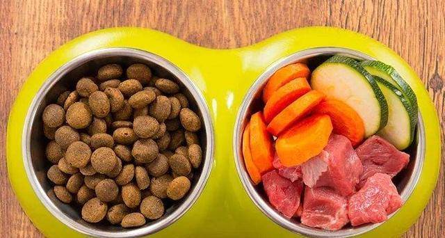 微量元素|想拥有一只“长寿汪”，你要做好这几点！