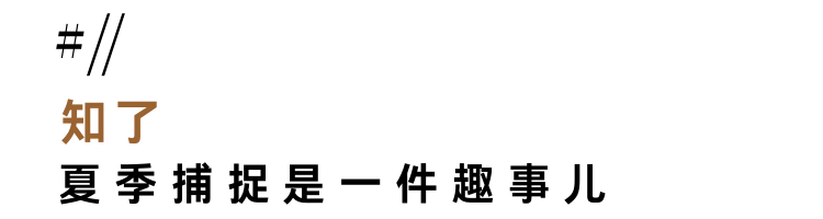 翅膀|这份专属夏日的季节限定美味，告诉你云和人吃得有多野！