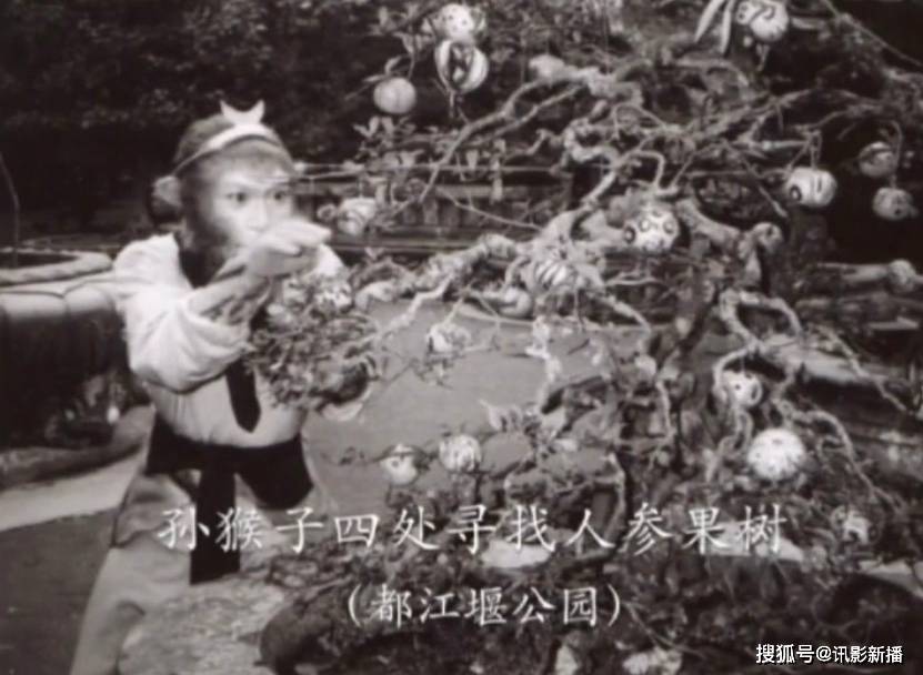 戏份|西游记最难拍的一个镜头，必须一次性过，没有重拍的机会，太不易