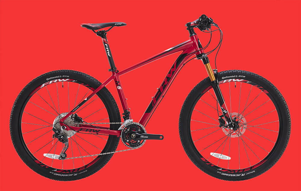 国内销量最好的自行车辐轮王土拨鼠全世界碳纤维自行车品牌排行榜从
