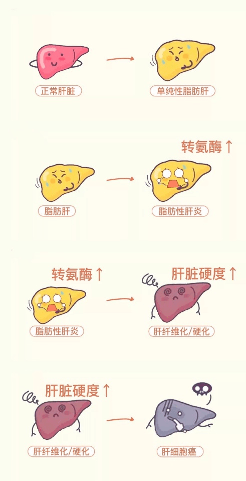 接种|世界肝炎日 | 一起守护你我的小心“肝“