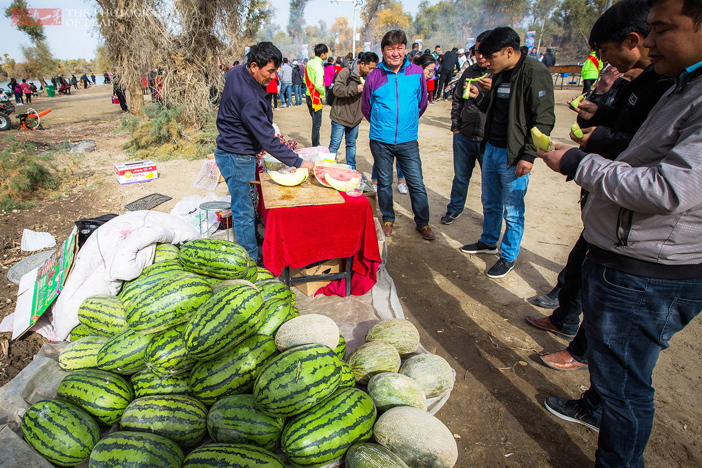 新疆大哥路边卖哈密瓜，才卖2块钱一斤，糖份太高吃完手都黏糊糊