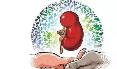 肾脏|五个行为，伤肾不浅，不论男女，都要控制一下