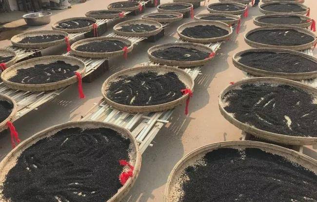 滋补|减肥小仙女们的福音来啦,好吃滋补不怕胖,0添加蔗糖黑芝麻丸