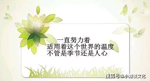 发朋友圈的限量版人生格言 每日一看 豁达一生 才越