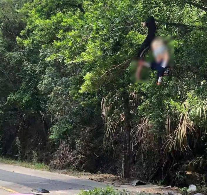 揭陽車禍女子被撞飛倒掛在樹上四肢下垂昏迷不醒現場一片狼藉