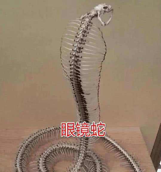 184568747b9849fb96595e33a19840fb.jpeg
