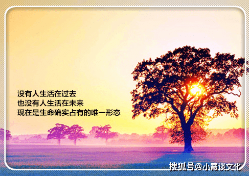 329d802ecd35400e9b346c6bdbea2237.png