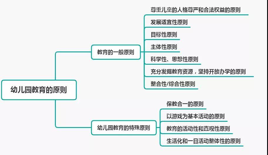 原则|思鸿教育幼教科目二：幼儿园教育的原则和特点