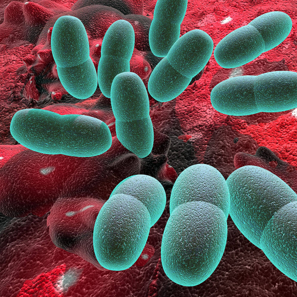 存活上亿年的微生物在太平洋的海底被发现真是奇迹