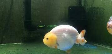 45b2bb8bf557405d8c0c79ec1a5a0ff0.jpeg