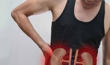 肾脏|出现肾结石不是偶然，四个坏习惯是导火索，别过度