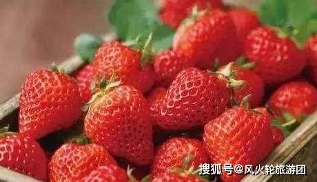 54b54ea9d7534a73ada5c294c8497df5.jpeg