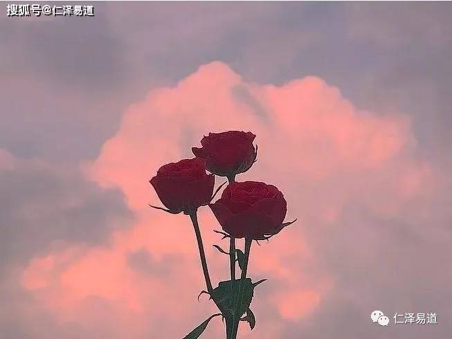 如何灭掉烂桃花 9f9e7cd708c3474692d8035b983c574b.jpeg