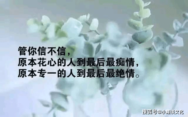 怎么变得有内涵有深度 d4beca1c9b3a4817912f21838524c67b.png