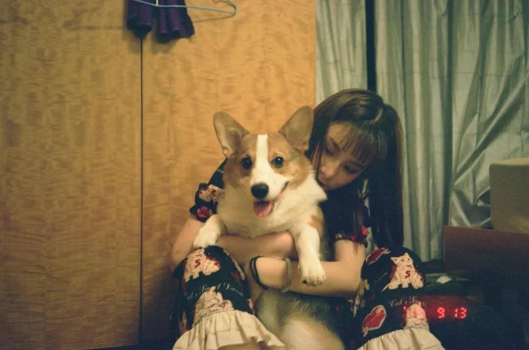 因为|吸完几百只猫猫狗狗,我们从中选出了30只最可爱的给你