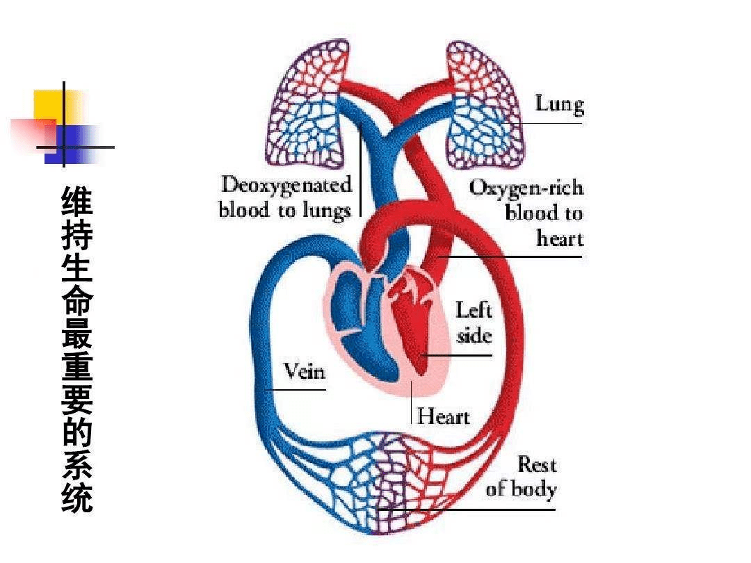 冠脉|【护心宝典8】防控冠心病，首先应该这样做！