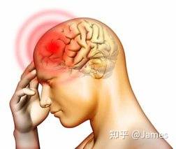 肠道|草酸盐与自闭症(和其他慢性病)：您喜爱的健康食物可能影响您的健康