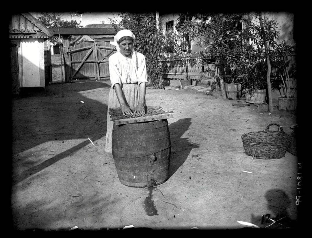 酿酒|珍贵史料 | 百年前摩尔多瓦民族竟如此酿酒?