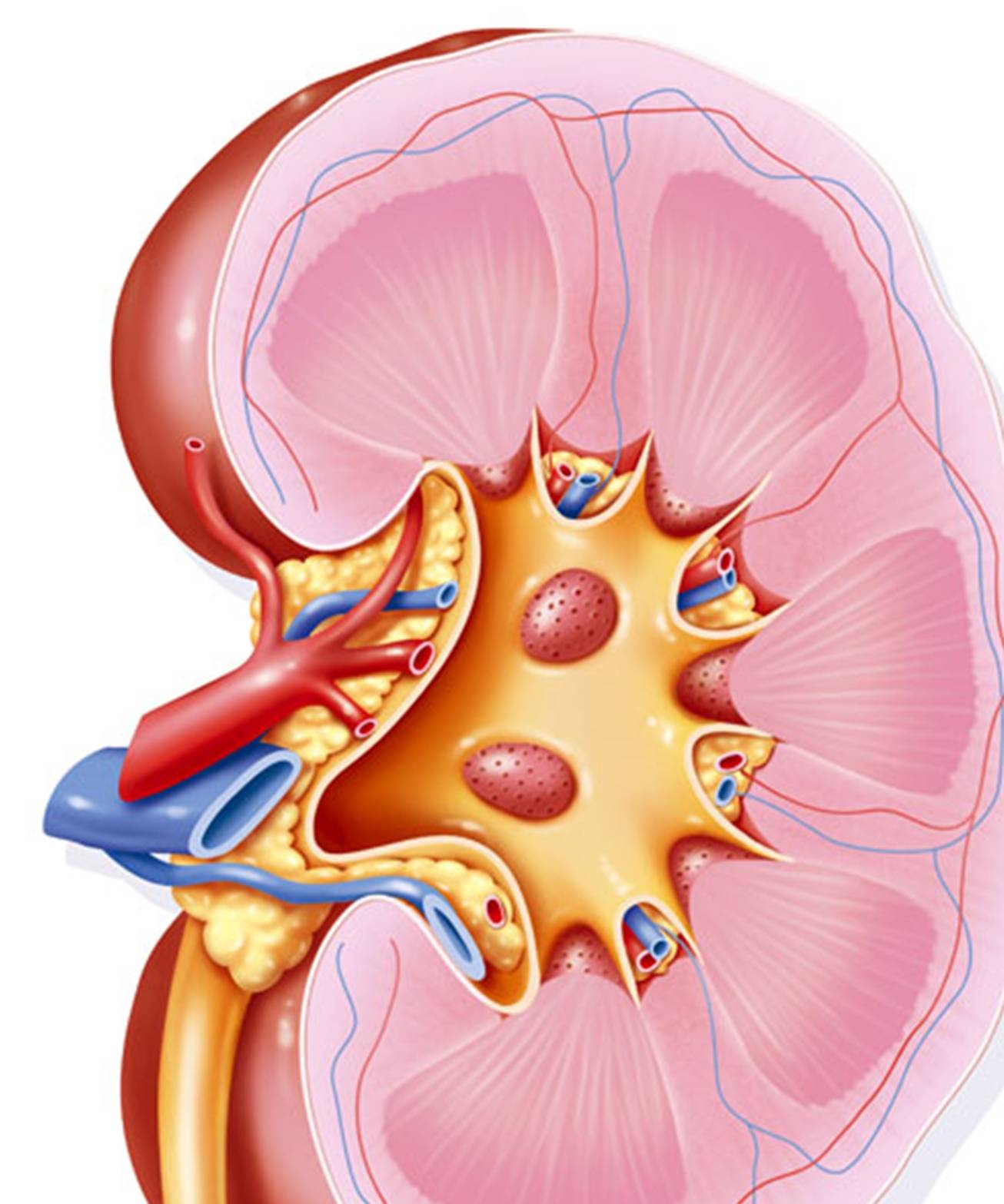 严重|糖尿病最怕5种严重并发症，教你正确方式，合理控制并发症风险