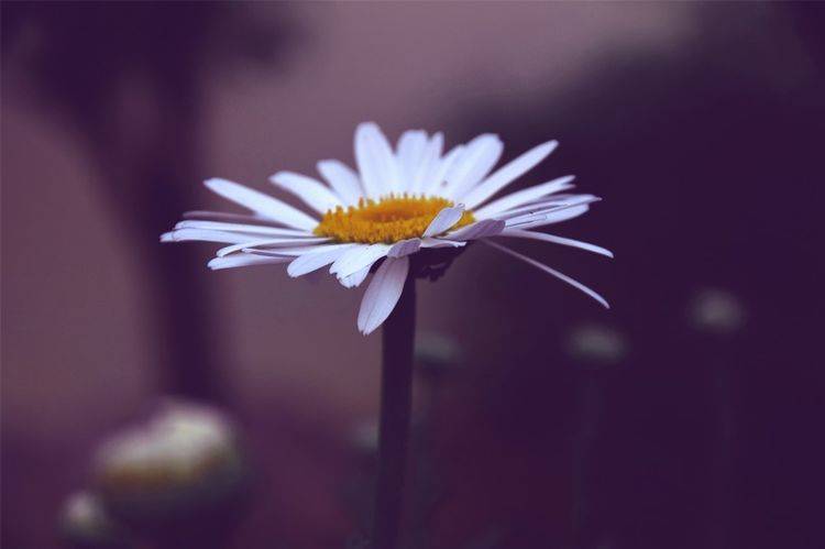1f6476ce22a9410e82291cb241f550a5.jpeg