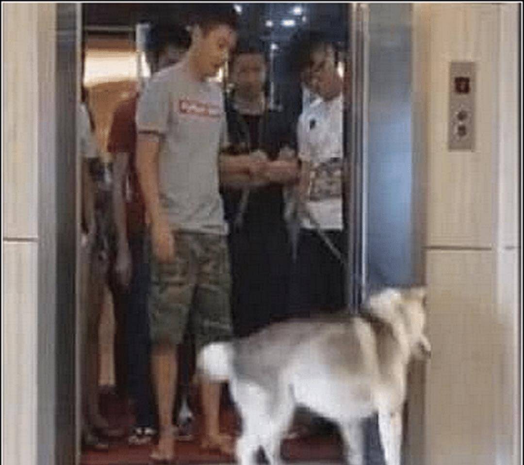 舔狗的男人的视频全集 369de9213fe840caaf8b7f3a051e8d44.jpeg