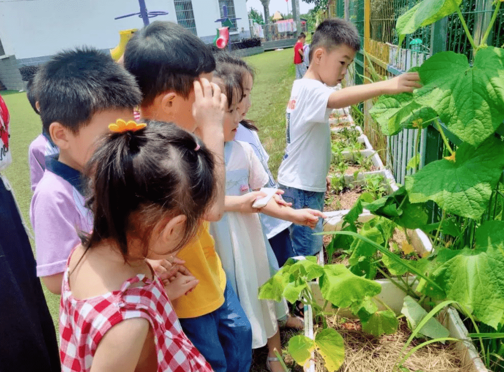 家长|教育部发布通知，幼儿园将迎来新变化，家长们纷纷表示满意