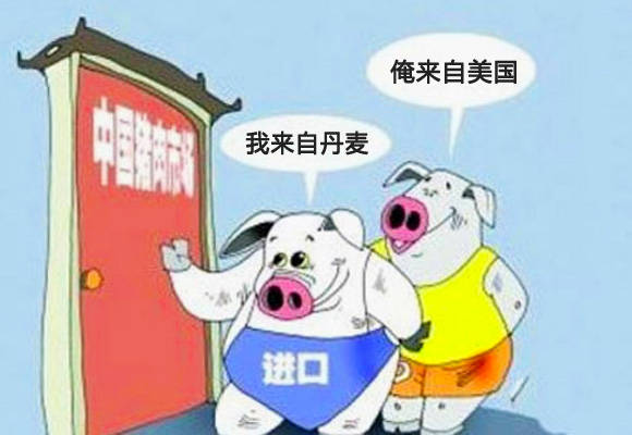 dd5a4b56e50f40789de0c84c24db4ac6.jpeg