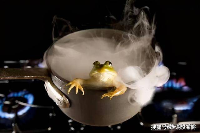 鲶鱼效应和温水煮青蛙到底都骗了你什么实验结果让人意外