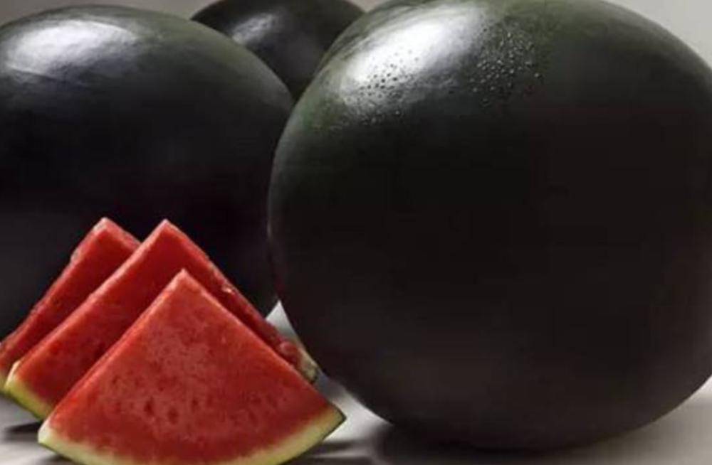 迪拜|迪拜富豪的一日三餐,看完终于理解:贫穷不止限制了我们的想象力