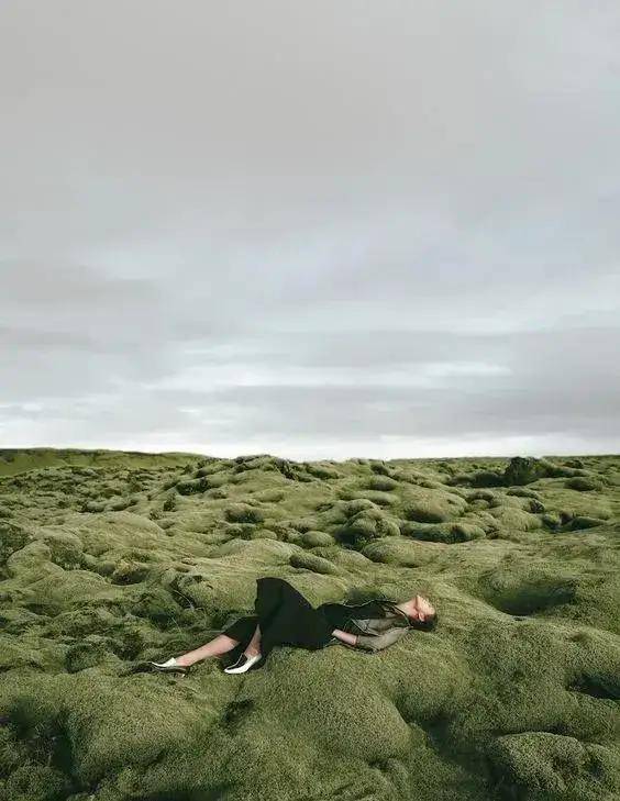 治愈|蝴蝶堂 | 爱亦心伊:闯入一场薄荷绿的白日梦境