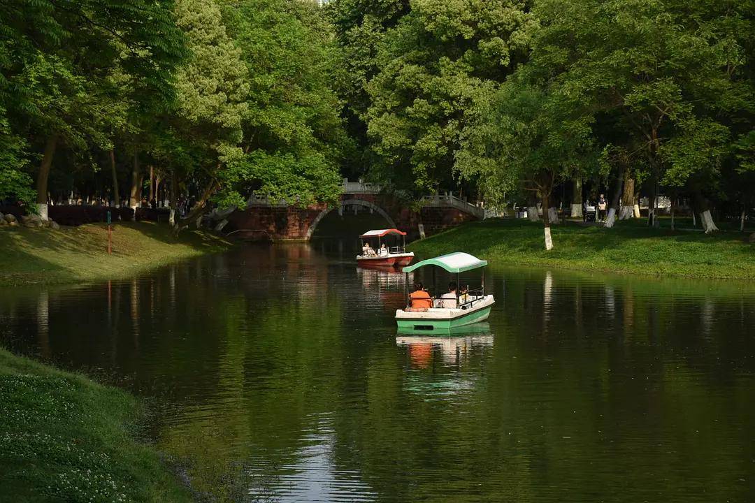 幼儿园|绿就一个字，可是已经把全世界都融化了（一个幼儿园教师的快乐暑假）