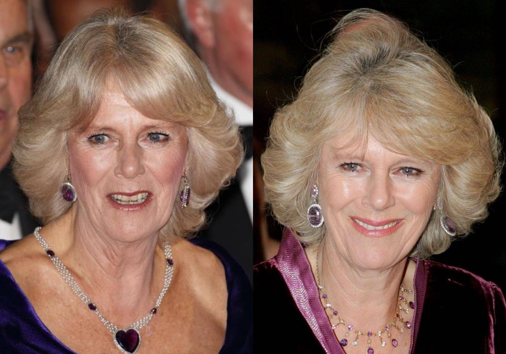 查尔斯|卡米拉和戴安娜珠宝PK，谁的数量更多？