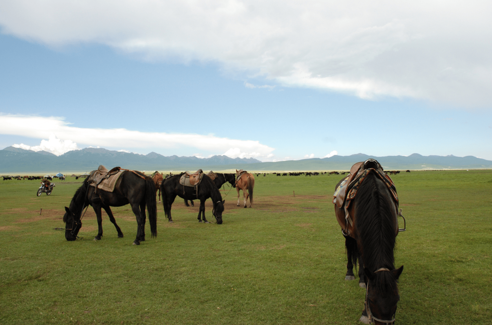 成都草原之旅若诗若画夕阳西下自驾3h直达