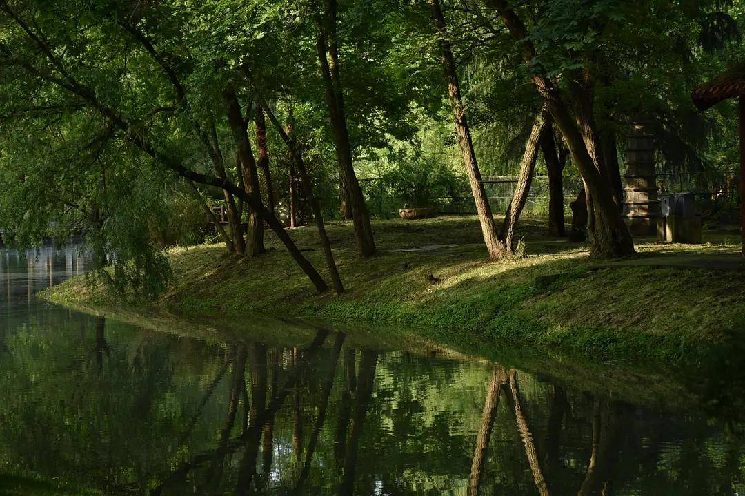 幼儿园|绿就一个字，可是已经把全世界都融化了（一个幼儿园教师的快乐暑假）