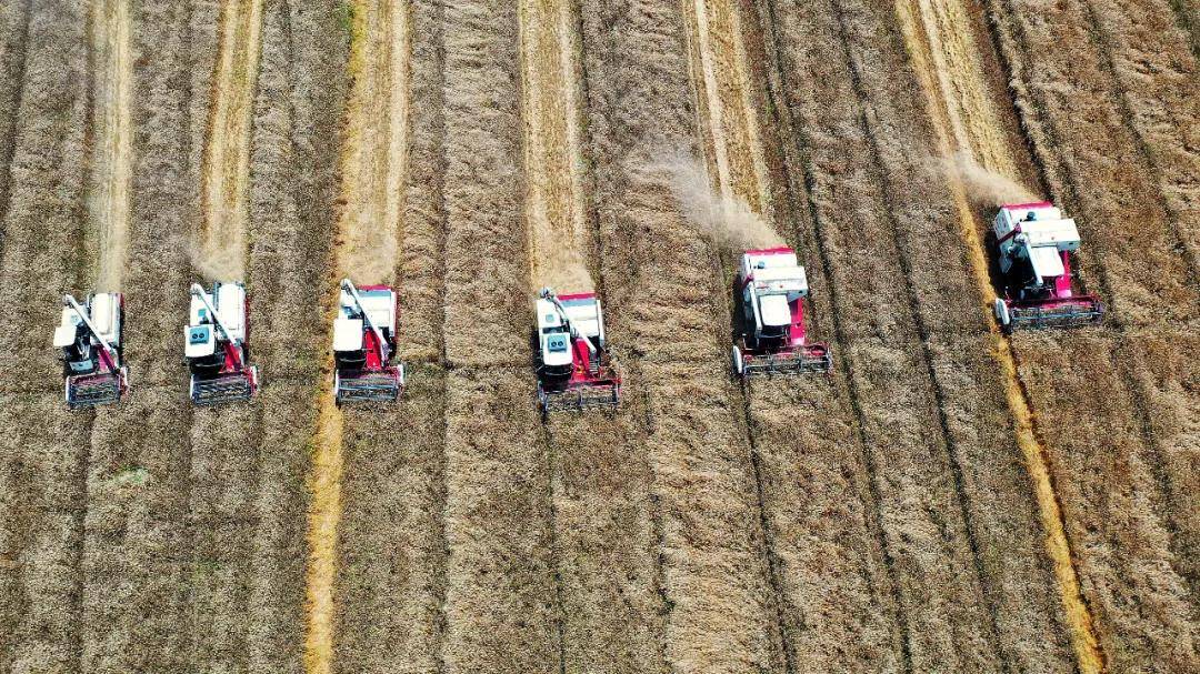 含锌食物排行榜_全球榜|2020全球最具价值食品品牌50强排行榜发布,中国多个品牌...