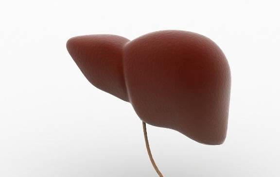 垃圾|三伏天,常用玉米须泡水,不出一个月,发生的变化让人喜出望外