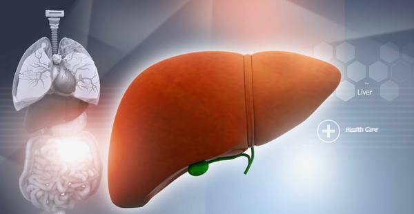 症状|肝部有囊肿，或与这5个因素有关，要小心预防