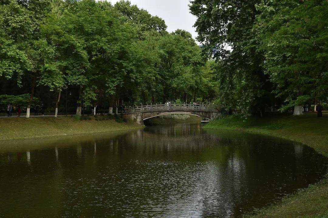 幼儿园|绿就一个字，可是已经把全世界都融化了（一个幼儿园教师的快乐暑假）