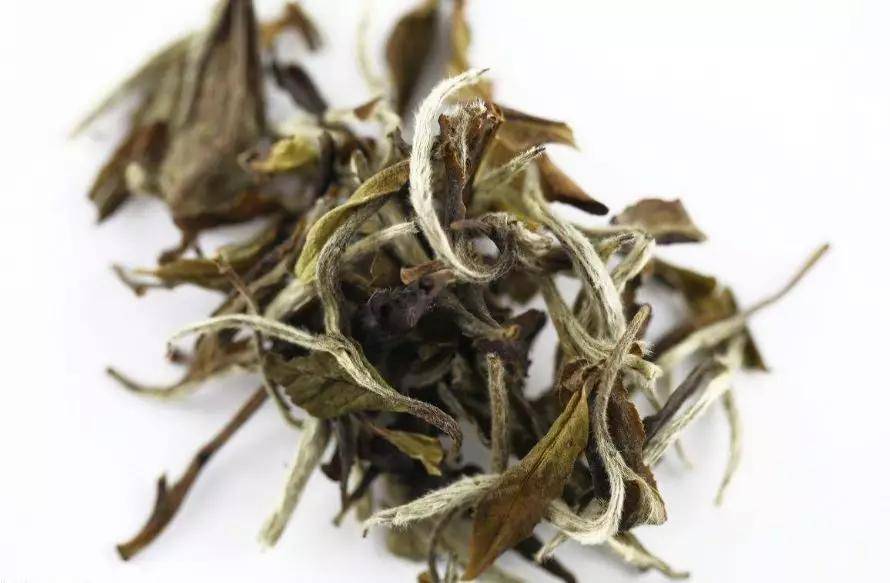 人體|夏天喝白茶，暑氣不找茬！