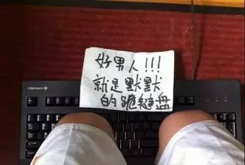 什么|搞笑GIF段子:养二哈的同时,记得要养只喵子!能省不少心啊!