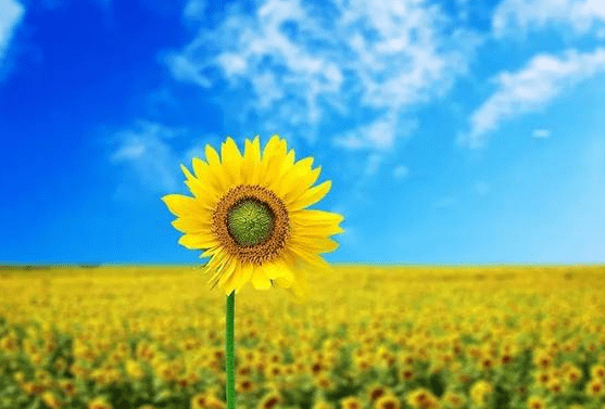 症状|怎么判断自己肝脏是否健康?中医:这还不简单,7个方法拿好不送