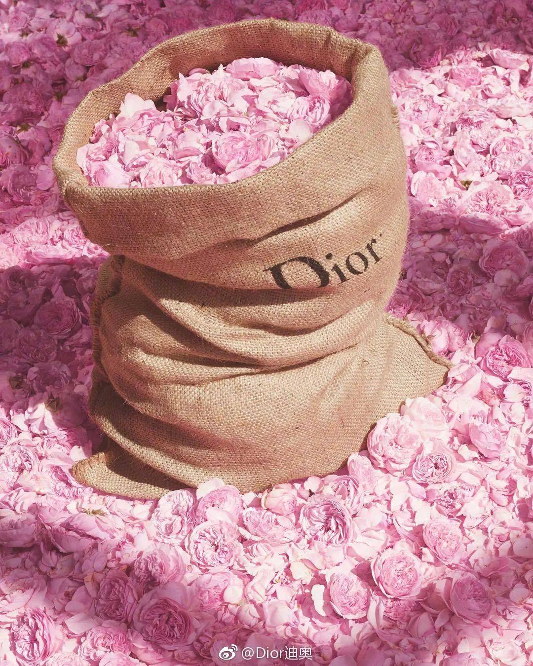 Dior|Dior《寻香之旅》，传奇经典是如何诞生的？